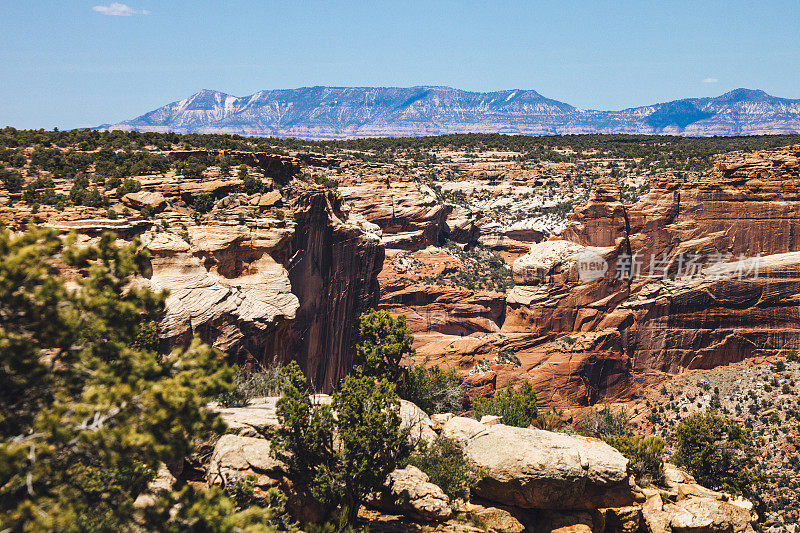 亚利桑那州的Canyon de Chelly。